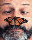 Rick Mikula Butterfly Expert